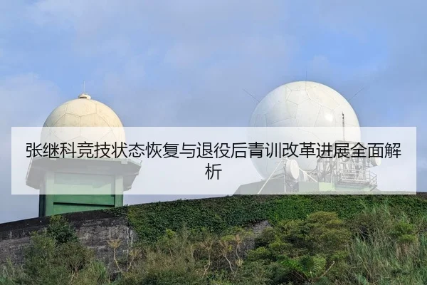 张继科竞技状态恢复与退役后青训改革进展全面解析